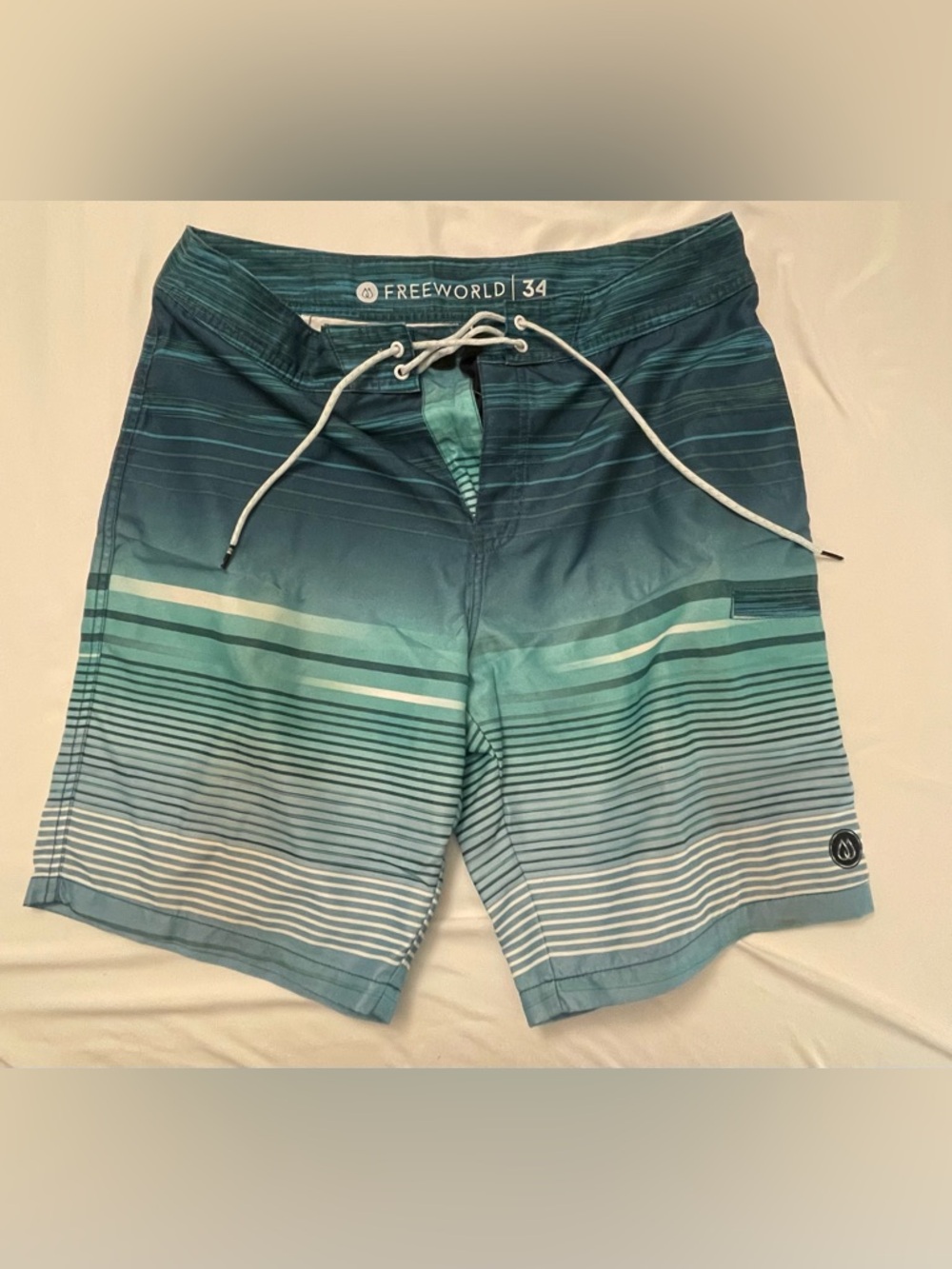 Freeworld Men's Teal Ombre Stripe Board Shorts